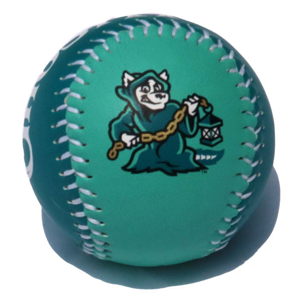 Spire City Ghost Hounds 2 toned Baseball