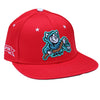 Spire City Ghost Hounds OC Sports Official On-Field 4th of July Hat